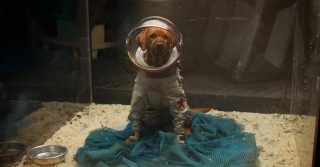 銀河守護隊3｜被送到宇宙航行有去無回 Cosmo原型太空狗 Laika