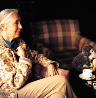 英國靈長類動物學家Jane Goodall離世！懷念一代女猿祖  重溫2004年專訪