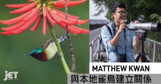 【行山專題】Matthew Kwan：與本地雀鳥建立關係